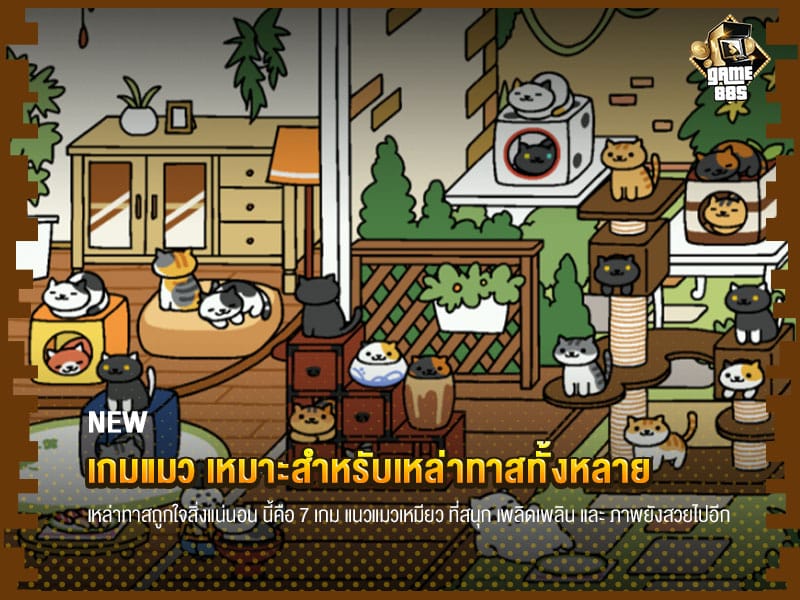 ข่าวบอล เกมแมว เหมาะสำหรับเหล่าทาสทั้งหลาย